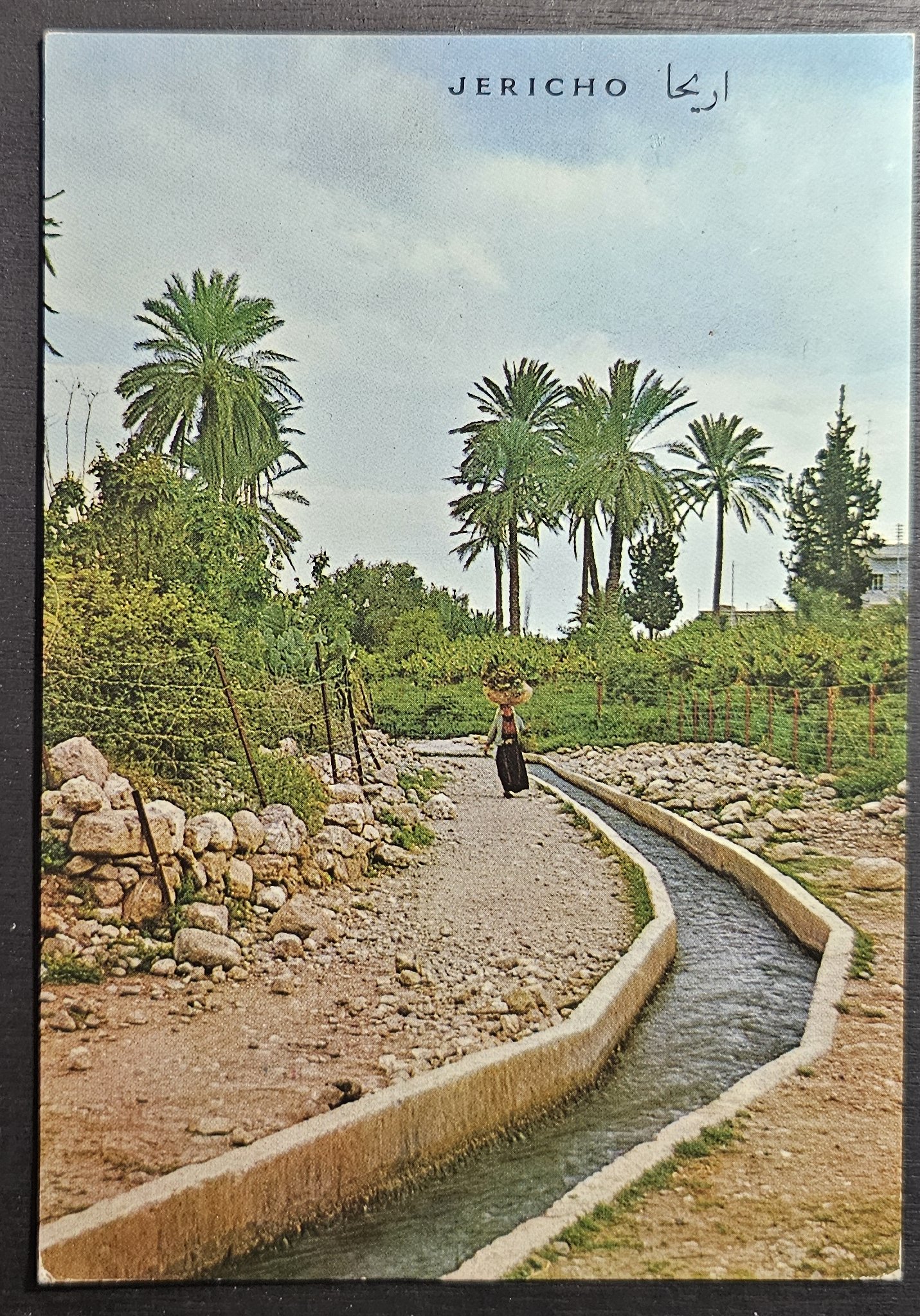 (image for) postcard Israel #0018